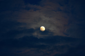 Selene / ***