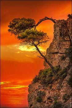 / Sunset