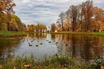 In der Herbstfarbe / ***