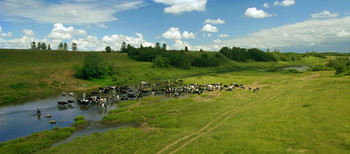 Erinnerungen an den Sommer / ***