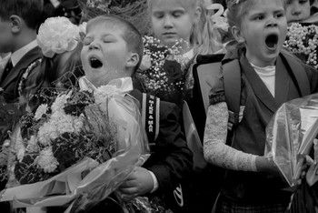 Tag des Wissens / ***