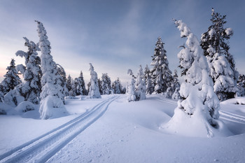 Straße im Winter / ***