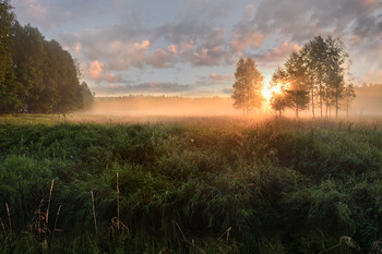 Morgendämmerung / ***