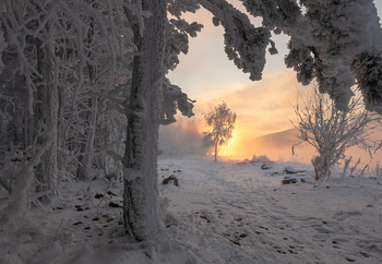 Wintermärchen. / ***