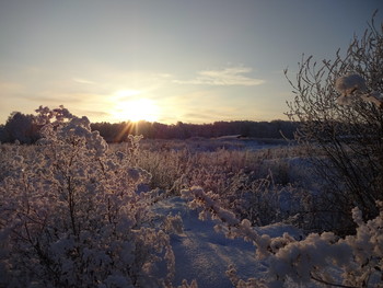 Sonnenuntergang im Winter / ***