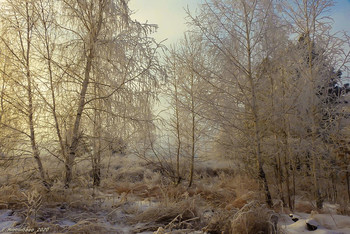 Gerade im Winter / ...