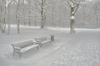 Nach Schneefall / ***