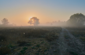 Oktober Nebel / ***