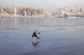 Eiszeit / ----