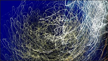 christmas tree / cam waving - light traces