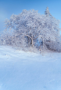 Frost / Frost