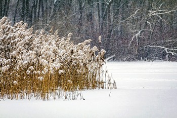 Bodenlose See / ***