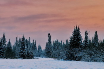 Twilight. / ***