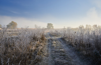 Morgenfröste / ***