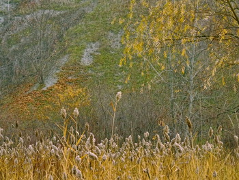 Herbst / ***