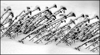 Bow Winter / ***
