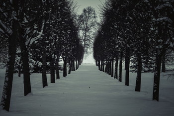 winter park / No comments.