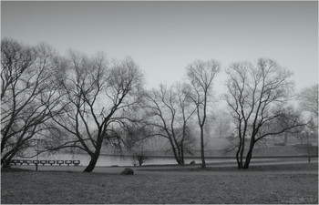 Winternebel / ***