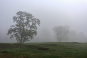 Nebel / ***