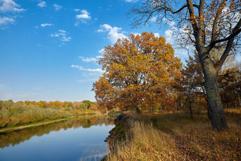 Goldener Herbst / ***