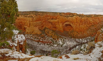  / Aspen Trail in the Navajo National Monument, Arizona, USA