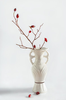  / minimalism, still-life