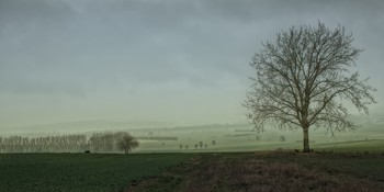 Schmuddelwetter / SÜDHARZ.....der Wechsel von Jahreszeit und Licht ist in diesem Video sehr schön zu sehen... :-) https://www.youtube.com/watch?v=Mr1q41Njiuo