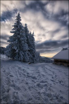 Auf der Alp / Eiskalt