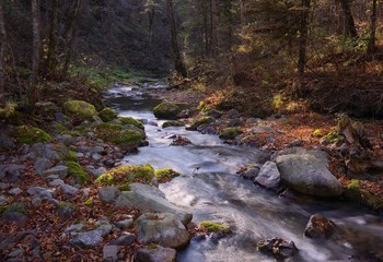 Stein Landschaft / ***