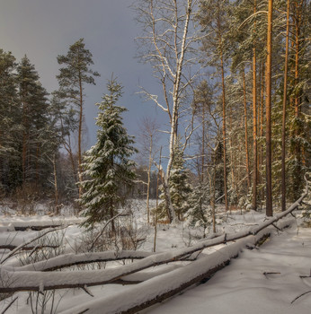 Der Winter kam / ***