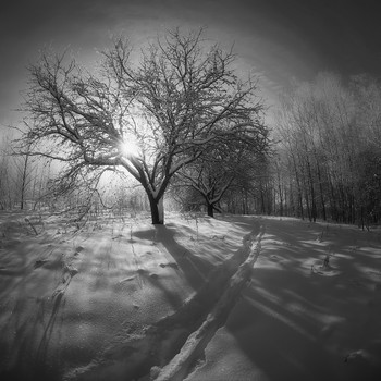 Winterlandschaft / .....
