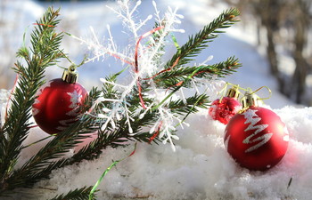 Mit alten Neujahr! / ***