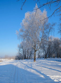 Winter / ***