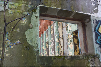 Fenster / ***