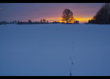 Um die Sonne entgegen / ...