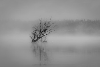 Die Ruhe / ***