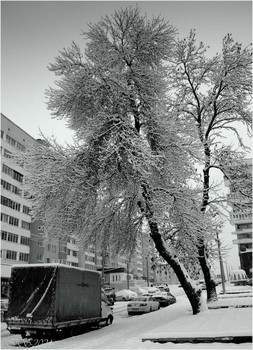 Nach Schneefall / ***