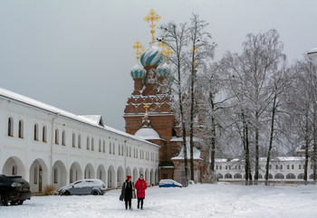 Winter / ***