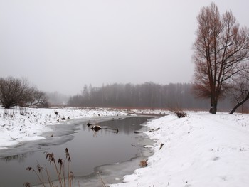 Blick in die Ferne / ***