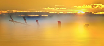 Ruhiger Morgen / ***