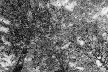 Himmel / ***