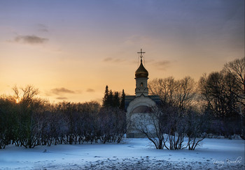 Winter / ***