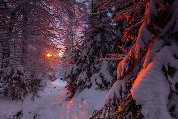 Letztes Licht / Sonnenuntergang im Böhmerwald
