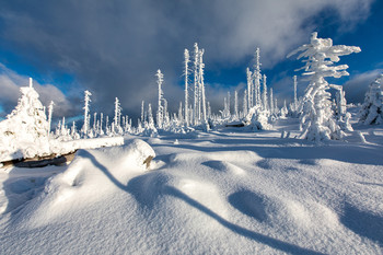 Winterwonderland / Winterlandschaft im Böhmerwald
