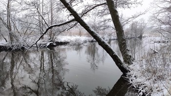 Wintermorgen. / ***