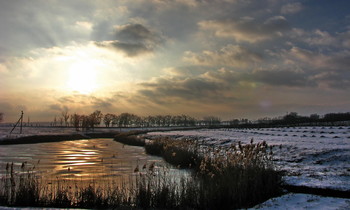 Frost / ***