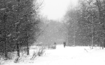 Schneesturm / ***