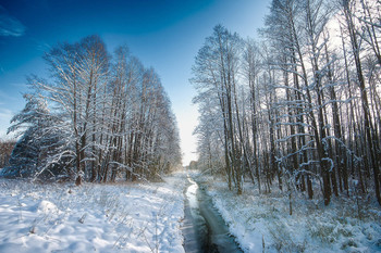Winter / ***