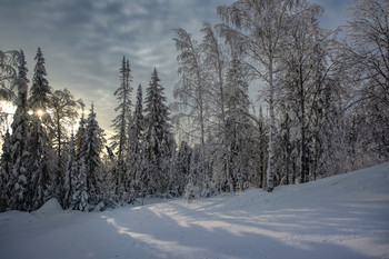 Wintersonne / ***
