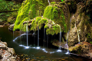 Wald Wasserfall / ***